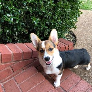 Meet your Posher, Saundra